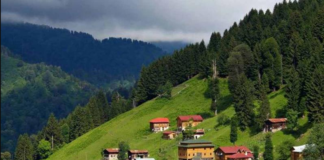 Yayla Kelimesi ile ilgili Akrostiş Şiir Örnekleri