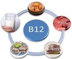 b12